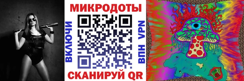 Купить  Кологрив  Галлюциногенные грибы Psilocybine cubensis 