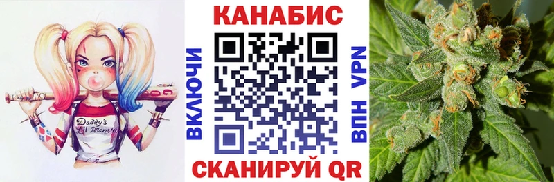 Купить закладки  Кологрив  Каннабис AK-47 